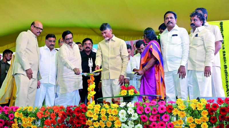 Chief Minister N Chandrababu Naidu lays the foundation of the Mega Seed Park at Tangadanche in Kurnool district (Photo:DC)