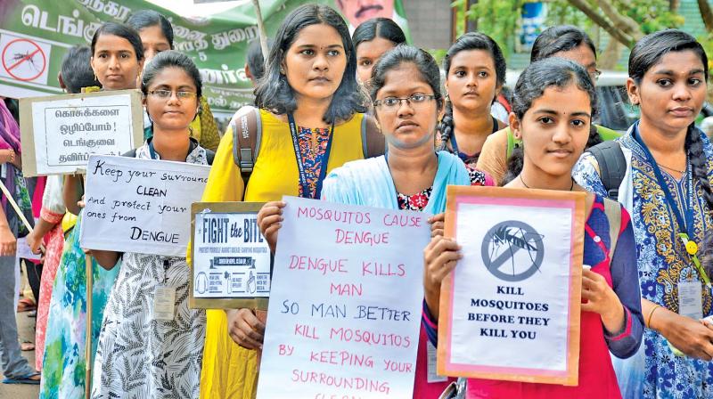 Ethiraj College students participate in dengue awareness rally on Thursday (Photo: DC) (Photo: Representational Image)