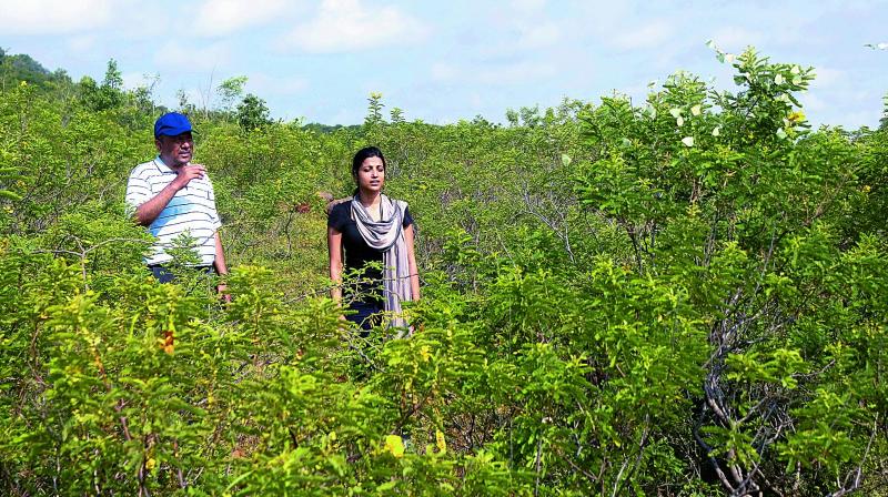 Chief Conservator of forests M. J. Akbar and Warangal Urban collector Amrapali Kata at a trek at Devunoor forest area (Photo: DC)