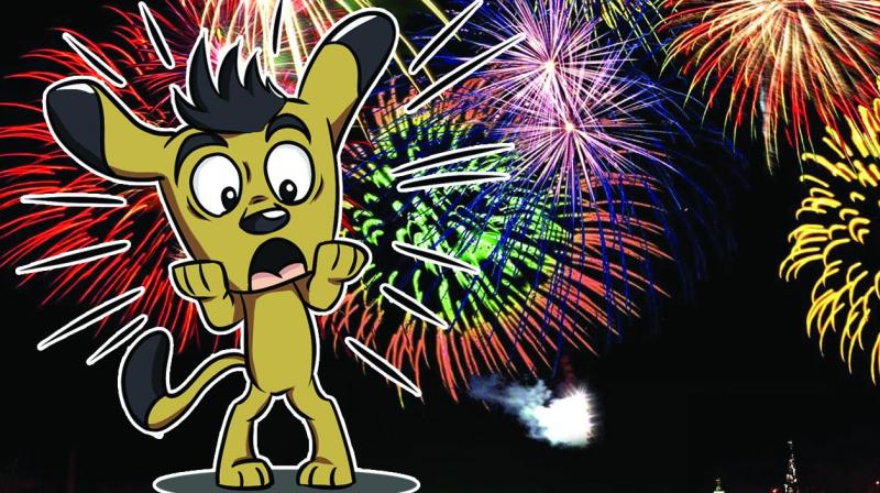 The sensitivity of animals to the sound and smell produced by fireworks is extremely high.