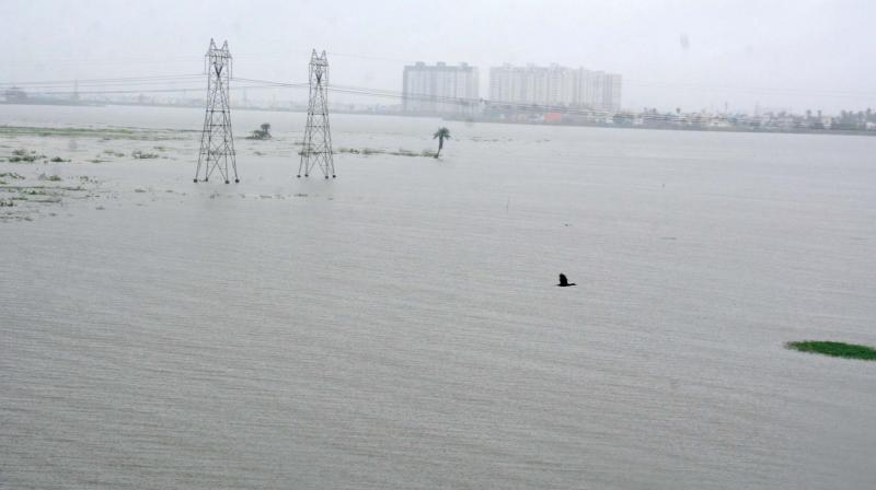 Korattur lake witnessed an increase in water level after the heavy downpour on Monday.(Photo: DC)