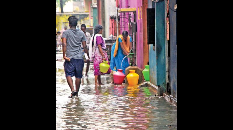 There seems to be a great demand for drinking water in Chennai even in the midst of a deluge. (Photo: DC)