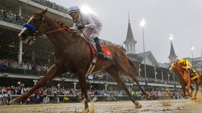 In Photos: Animals who grabbed headlines this week