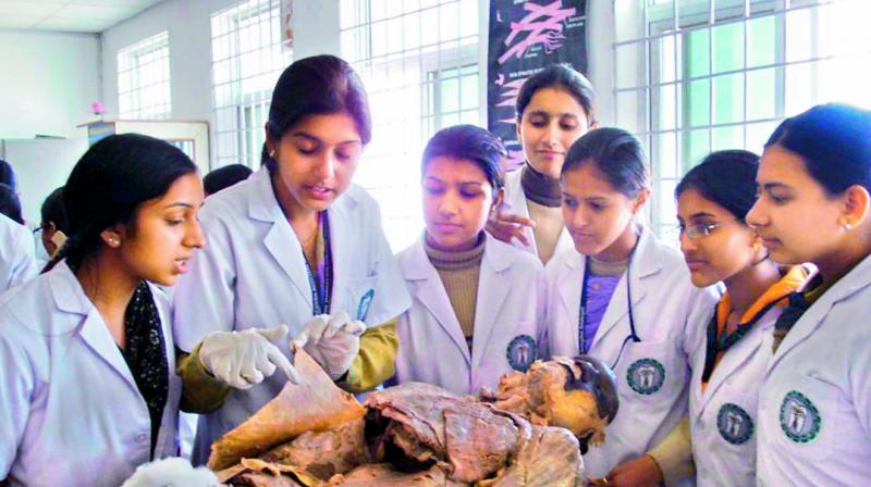 Medical students examine a dead body during an anatomy class.