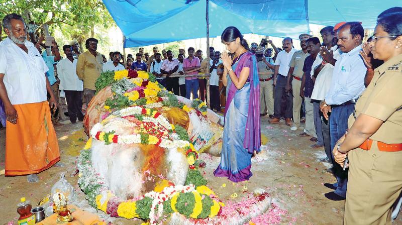 Salem district collector Rohini Bhajubhakare pays special homage to the departed pachyderm on Saturday.   (Photo:DC)