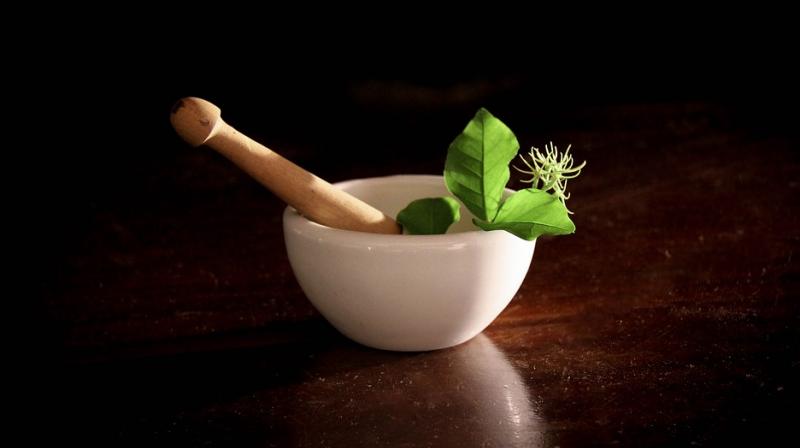 While herbal remedies may work, it is advised that parents consult doctors for test herbal therapies. (Photo: Pixabay)