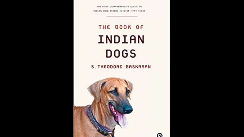 The Book of Indian Dogs by S. Theodore Baskaran