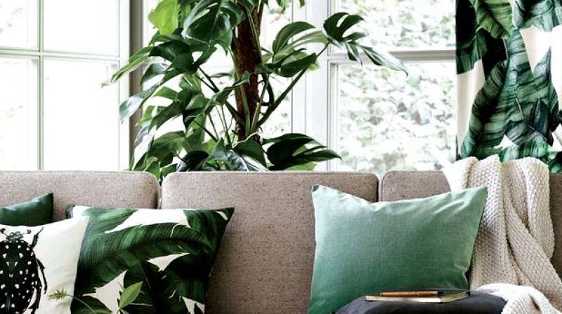 A living room with an essence of green.