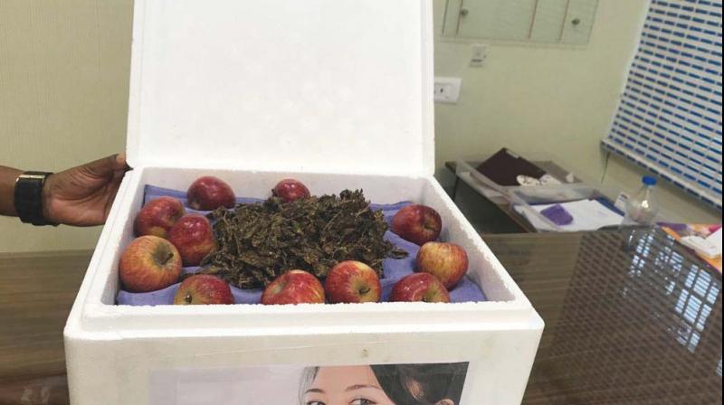 Marijuana packed with apples in boxes.(Image DC)