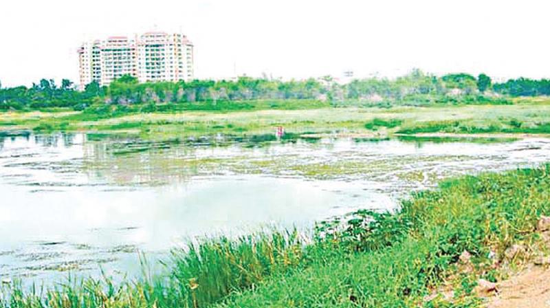 Early panchayat records show that Yelachenahalli Lake is spread over 6 acres and 32 guntas. But activists said that previous surveys deliberately skipped encroachments