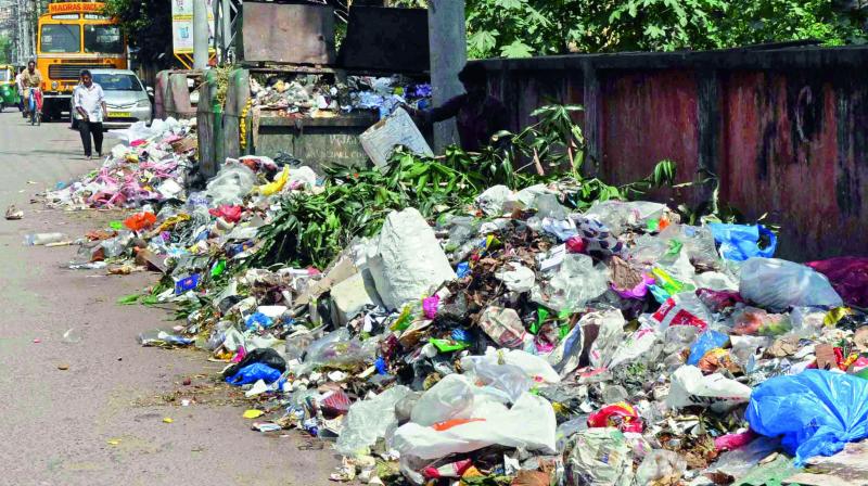 Garbage stagnates on Museum Road and other places in Vijayawada on Saturday as the dumping vehicles were not allowed into the dump yard at Singh Nagar on Friday. (Photo: DC)