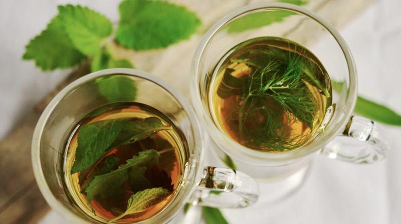 These herbs can improve your health mentally and physically. (Photo: Pexels)