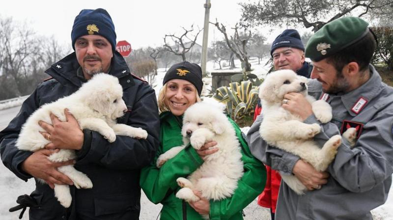 Rescuers hold three puppies that were found alive in the rubble of the avalanche-hit Hotel Rigopiano, near Farindola, central Italy, Monday. (Photo: AP)