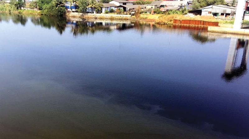 Local residents allege that HIL has been discharging effluents to Kuzhikandam creek violating norms since 2006. A view of polluted Periyar River. (Photo: DC)