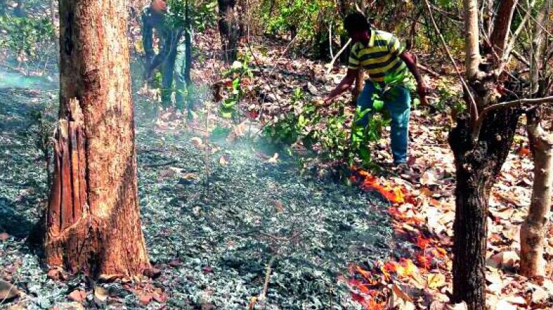 Fire watchers take part in fire extinguishing operation in a forest area falling under Kunavaram range of Chintur division in East Godavari.