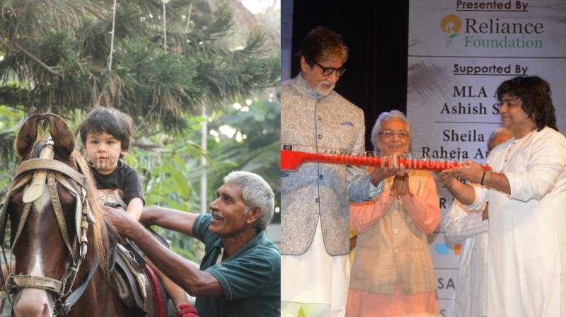 Taimur Ali Khan learns horse-riding, Amitabh Bachchan plays veena