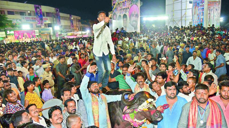 The Yadav community take part in Sadar festivities. 	(Photo: DC)