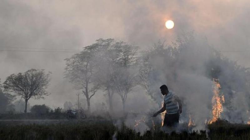 Everybody worldwide is exposed to air pollution every time they breathe (Photo: AFP)