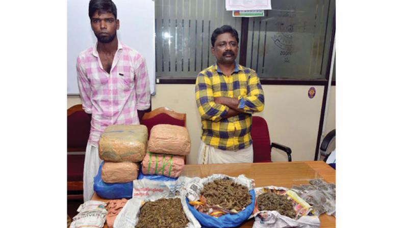 Thomas and Johny along with the ganja seized. (Photo: DC)