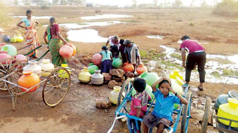 With the ground water table in the region falling to 400 feet and contaminated with  fluoride, the farmers take their cattle to the nearby Kappattagudda forest in search of water for them.