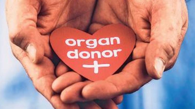 Vijay, who himself had undergone a kidney transplant, will set on a 9,000-kilometre long journey from Chennai to Ladakh and aims to inspire million to pledge their organs. He will begin his journey on World Organ Donation Day, on Sunday.
