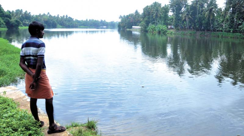 Data over the last decade shows that the water flow of River Periyar has reduced by over 60 per cent.