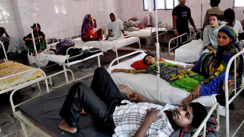 Dengue fever cases have increased in the capital region.