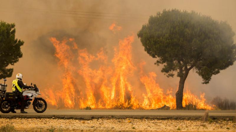 Spain forest fires: Thousands of people evacuated, wildlife threatened