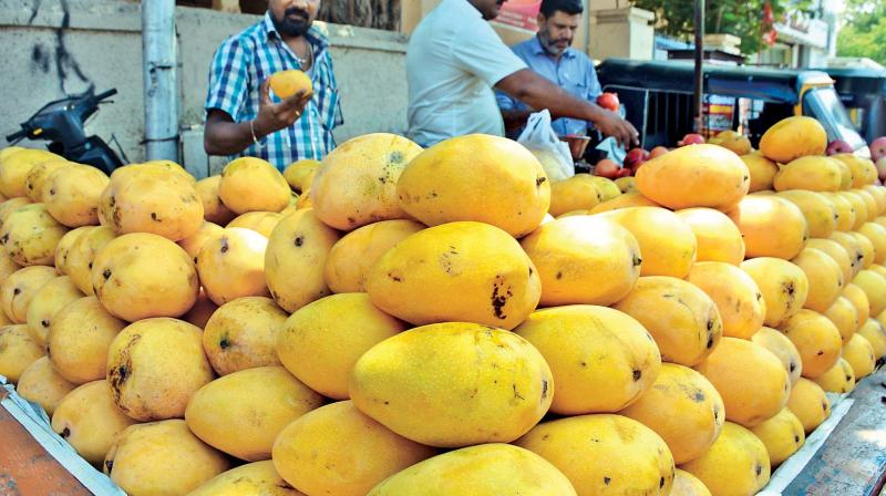 Mango lovers buy Banganapalle variety in Chennai on Wednesday. (Photo: DC)