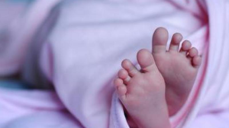 A case of concealment of birth by secret disposal of dead body (318 IPC) was registered. Police said that they are verifying the records in the hospitals in the surrounding areas. (Representational Image)