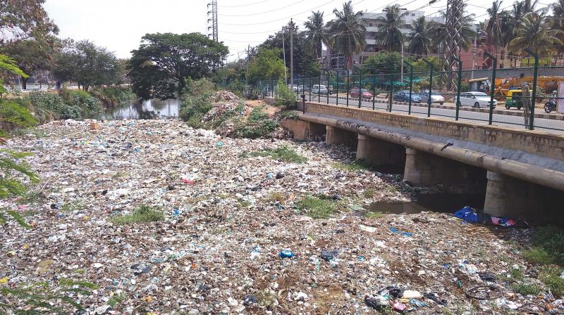 A storm water drain near Agara Lake that is choked with plastic waste 	(Image: DC)