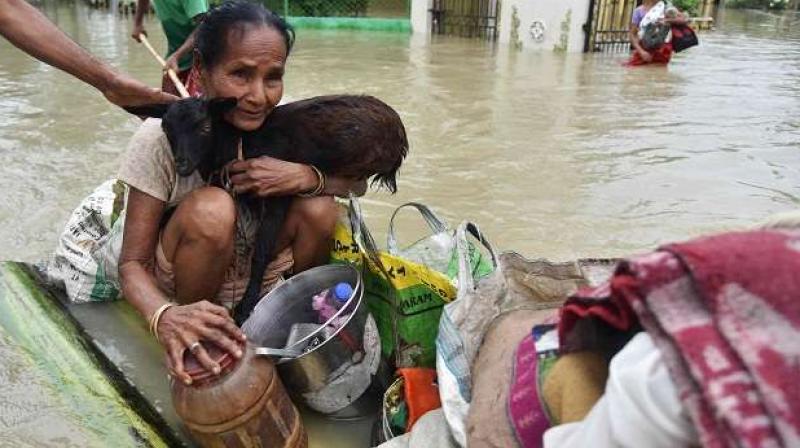 A woman holds a goat while sitting on a raft at the flood affected Koliabor village, some 186km from Guwahati, Assam on August 13, 2017. (Photo: AFP)