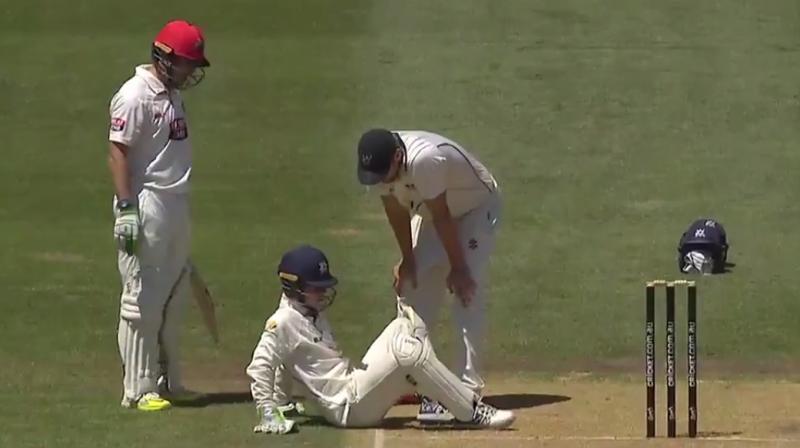 during a Sheffield Shield match at the Adelaide Oval(Photo: Screengrab)