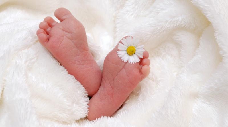 Microbial bacteria could help detect signs of premature births. (Photo: Pixabay)
