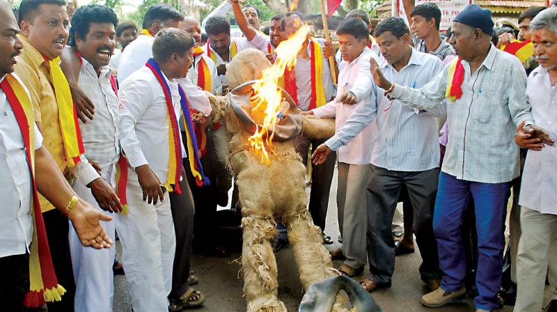 Kannada activists burn an effigy during the Karnataka bandh. (Photo: KPN)