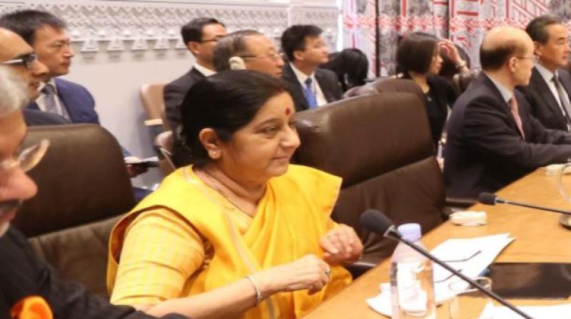 Action of N Korea a source of growing global concern: Sushma at BRICS meet