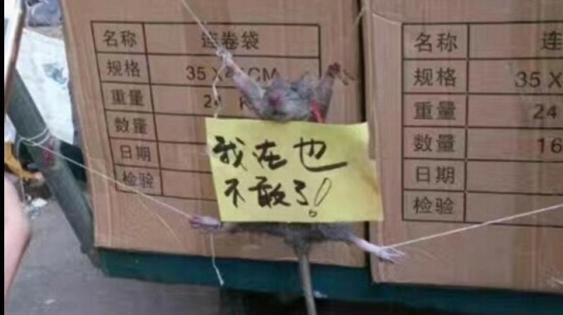 The post-it read I dare not do it again. (Photo: Weibo)