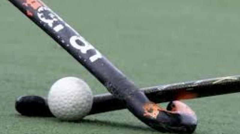 Riding on Dutch drag-flicker Mink van der Weerdens 25th-minute strike, defending champions Jaypee Punjab Warriors pipped Ranchi Rays 1-0 to win their first home game of the Hockey India League-5 in Chandigarh on Thursday. (Representational image)