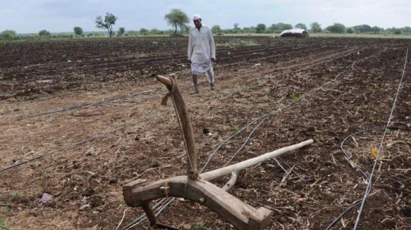 State government had passed orders instructing the director of agriculture to execute a massive Rs 800 crore plan on sustainable dry land agriculture.