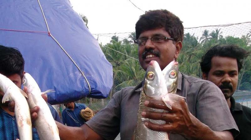 Joshi K.K. with milkfish he harvested at his pond near Atholy in Kozhikode.