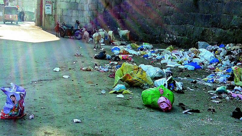 Garbage lies scattered by the roadside near the Golconda Fort giving off a terrible stink affecting  visitors to the historic site. (Photo: DC)