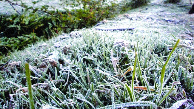 Early morning view shows that frosting turned everything white on ground in the low-lying areas in the western parts of Ooty town on Sunday (Photo: DC)