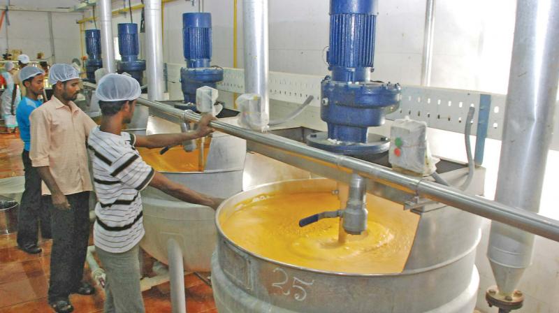 Workers busy at the mango pulp factory. (Photo: DC)