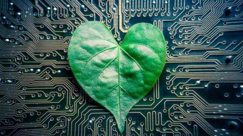 Engineers have designed a microfluidic device they call a â€œtree-on-a-chip,â€which mimics the pumping mechanism of trees and other plants. Credit: Massachusetts Institute of Technology