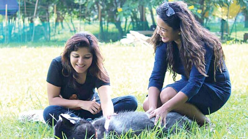 A file picture of pet groomer Lopa Saikia grooming her dog