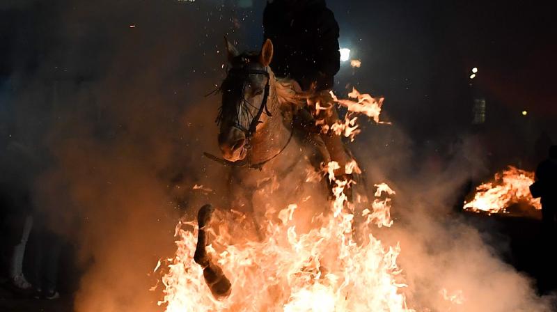 Horses ride through bonfires to celebrate patron saint of domestic animals in Spain