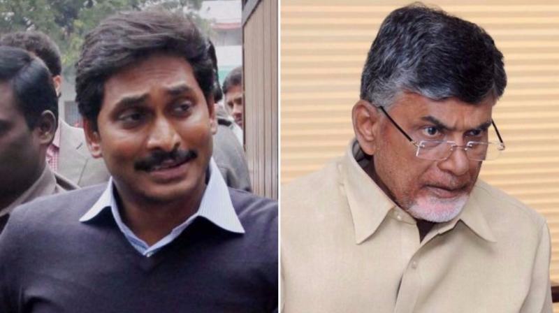 YSR) Congress chief Jaganmohan Reddy has accused Andhra Pradesh Chief Minister Chandrababu Naidu of involvement in several scams. (Photos: PTI)