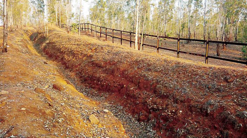 The rail fencing at Omkar range of Bandipur National Park which blocks the direct route to Bolegowdanakatte for elephants to access fodder and water.