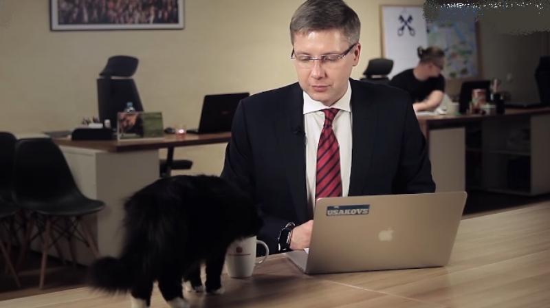 The cat is busy relishing the coffee and jumps off when the mayor tries to pat it (Photo: Youtube)