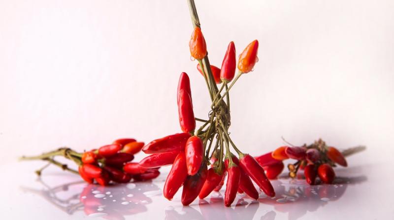Drug derived from chilli peppers aids weight loss. (Photo: Pixa